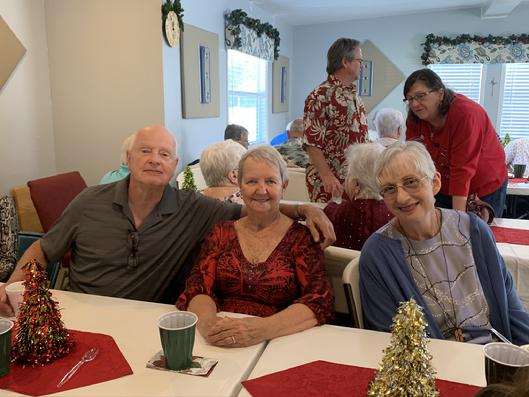 Senior People Seated Around Dinner Table